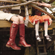 Image for article titled Anthropologie "Adorned": Critters & Kids Steal The Spotlight From Bags & Baubles